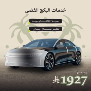 البكج الفضي